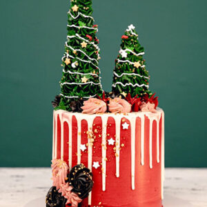 3D Weihnachtsbaum Torte von Da Rino aus Bottrop